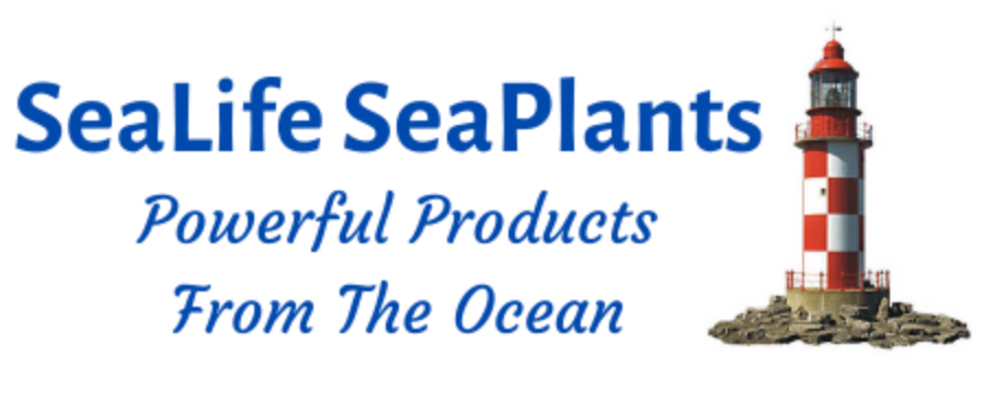 Sealife Seaplants-image
